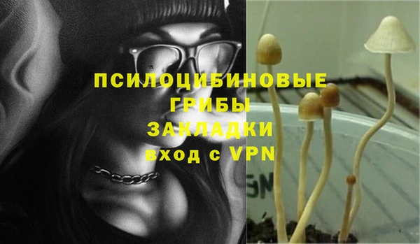 наркотики Белокуриха