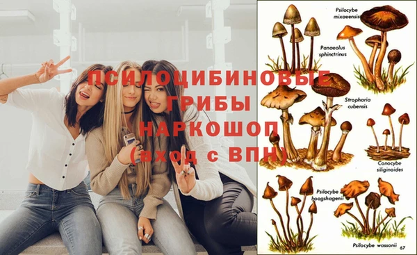 spice Беломорск
