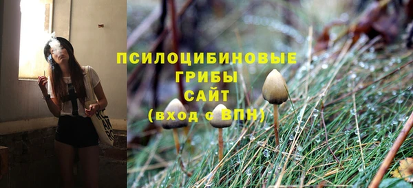 наркотики Белокуриха