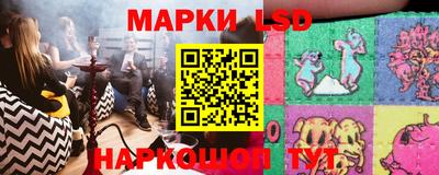 шишки Изобильный