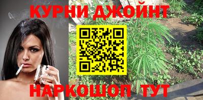 шишки Изобильный