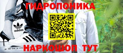 шишки Изобильный
