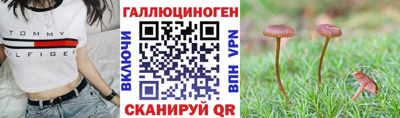 Галлюциногенные грибы Psilocybine cubensis  где купить наркоту  Малоярославец 