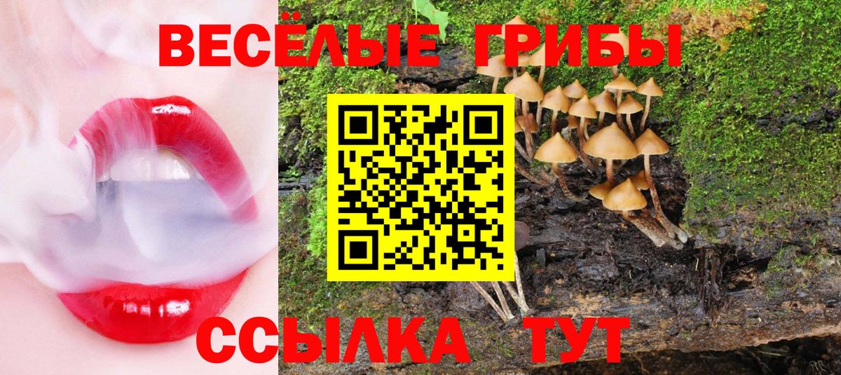 Галлюциногенные грибы GOLDEN TEACHER Малоярославец