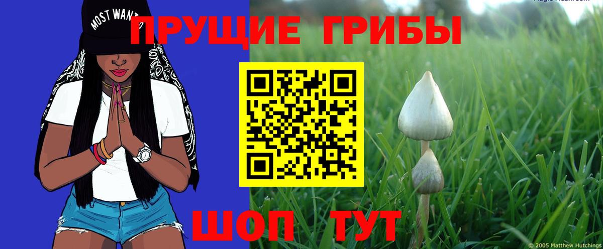Малоярославец  Галлюциногенные грибы Magic Shrooms  Вход с VPN 
